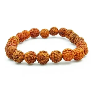 Le Rudraksha.
